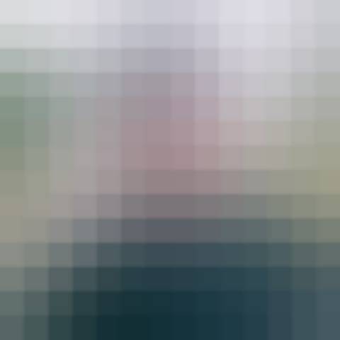 Gallery photo (locked)
