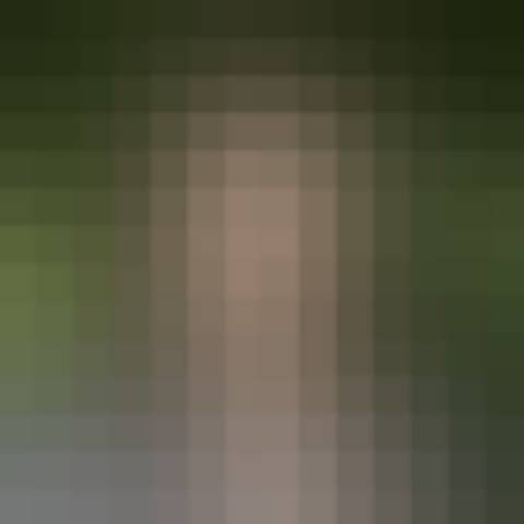 Gallery photo (locked)