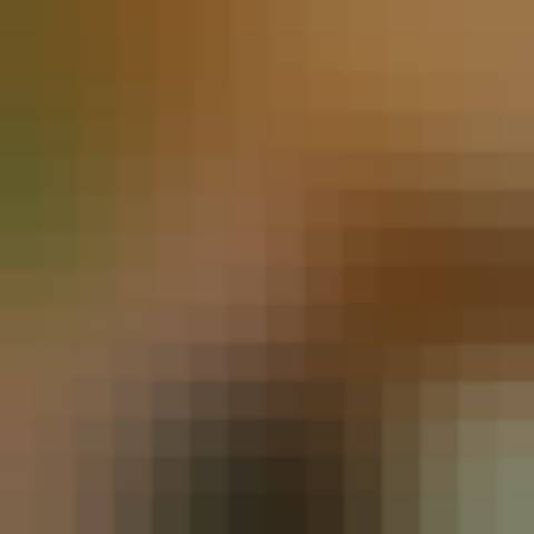 Gallery photo (locked)