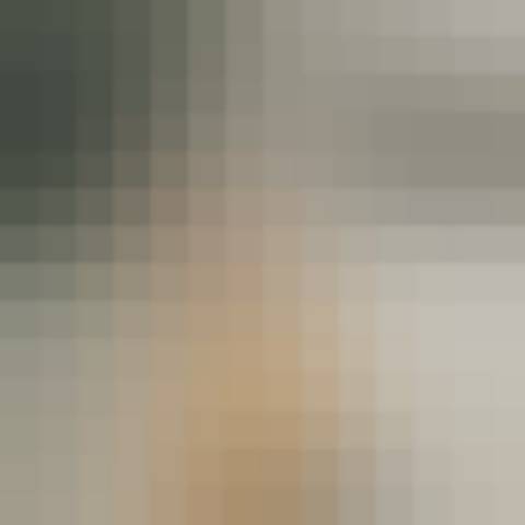 Gallery photo (locked)