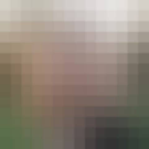 Gallery photo (locked)