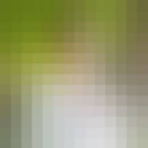 Gallery photo (locked)