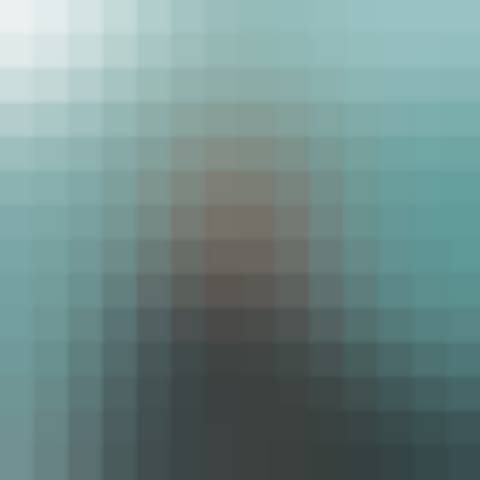 Gallery photo (locked)